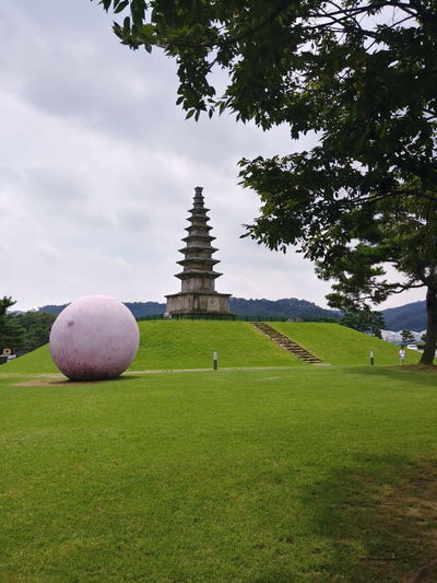 忠州博物館