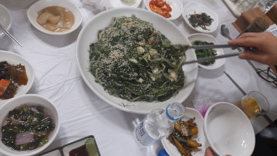 Jinttobaegi