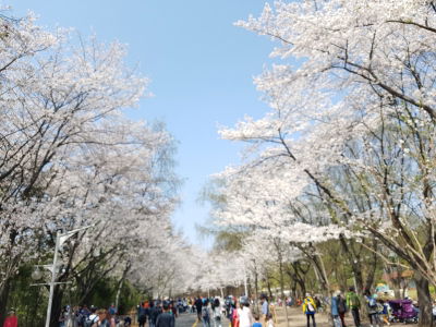 인천대공원 어린이동물원