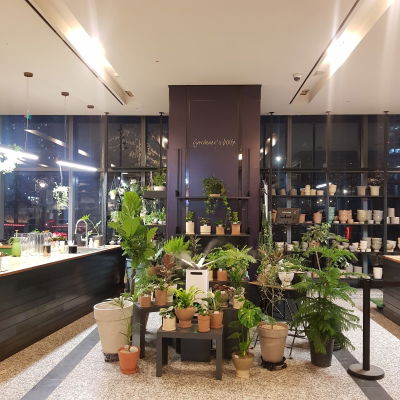 Cafe Comma & Yann Couvreur