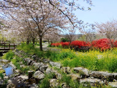 Daewang Sucheon Yerae Ecological Park