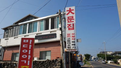 Daemunjip