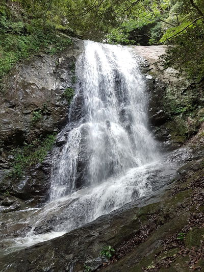 Narutaki Natural Park