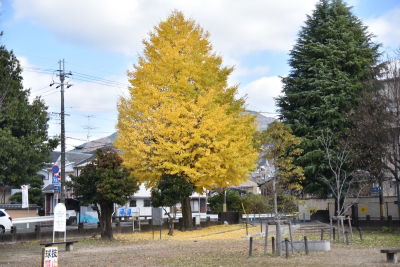 Ichijoji Park