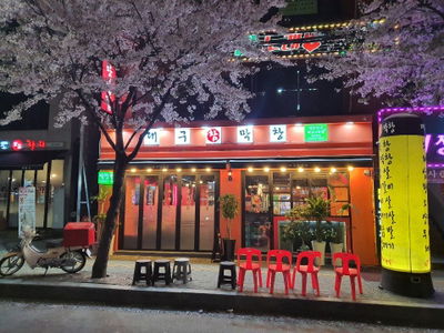 Daegu Chammakchang Junggok Main Branch