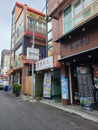 Alice Cafe Jeju City Hall Location