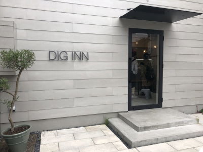 DIG INN