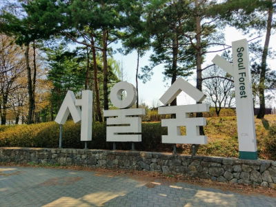 Seoul Forest Parking Lot