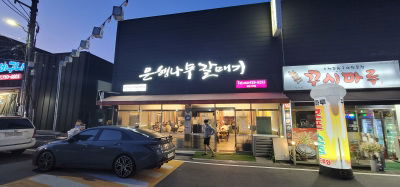 은행나무갈매기
