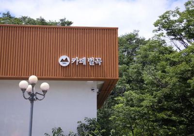 카페 벌곡