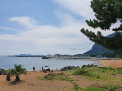 화순금모래해변