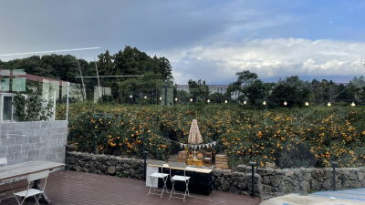 Cafe Wild Garden