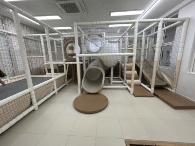 The Playground