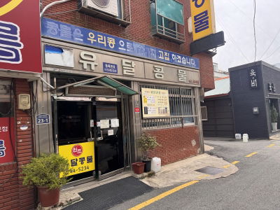 유달콩물