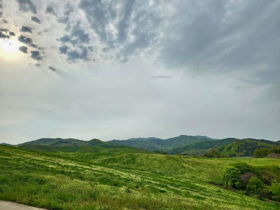 서산한우목장 웰빙산책로