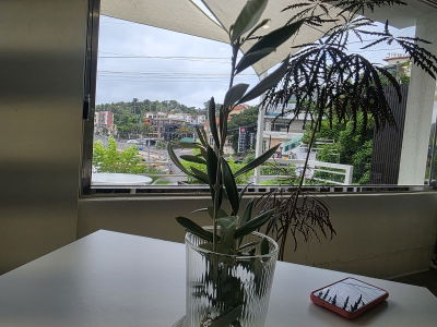 Onol cafe