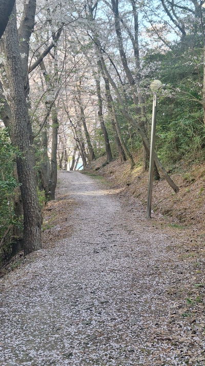 Millak Park