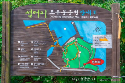 Dodubong
