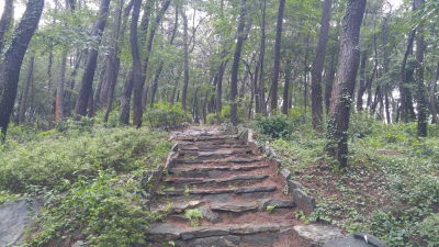 Osan Park