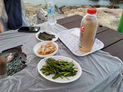 大海之愛