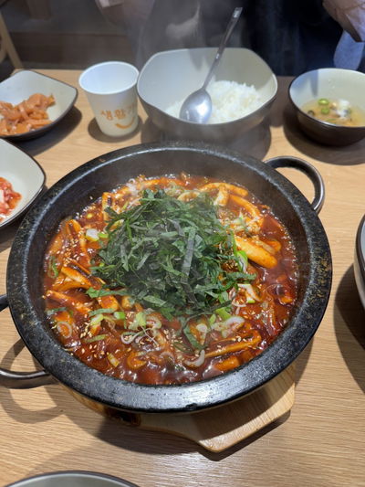 돌애