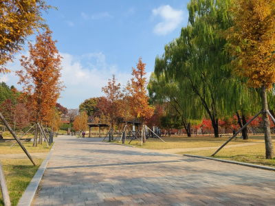 대구 대표 도시숲