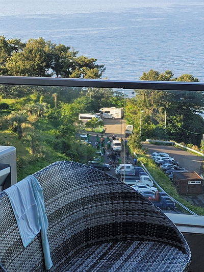 Harakeke Jeju