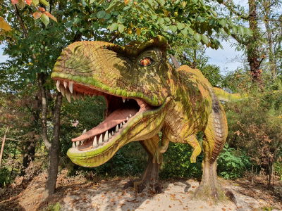 Miho Museum