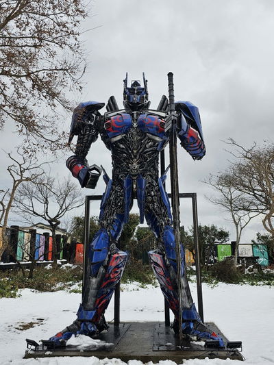 Surprise Theme Park