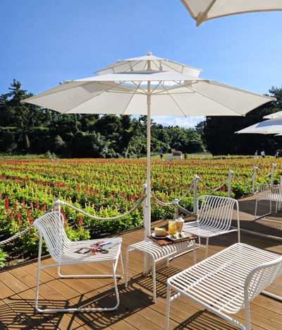 BEECAVE Jeju Cave Cafe