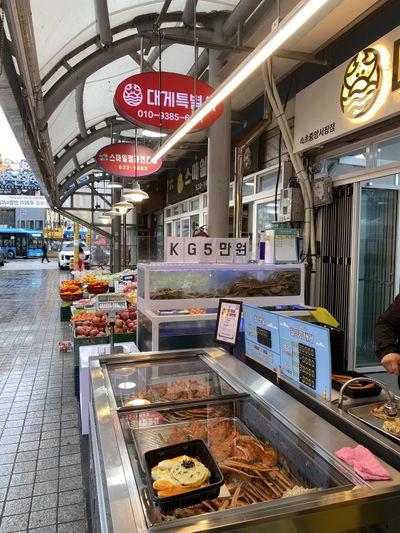 Crabcity in Sokcho Market