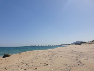 남항진해변