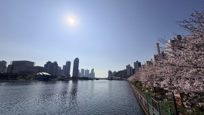 Suyeonggang Human Bridge