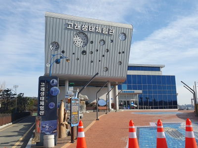 Whale Eco Experience Center