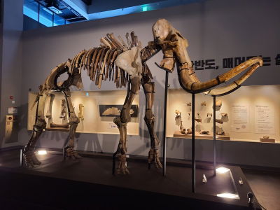 Natural Heritage Center