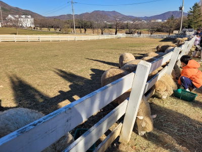 Nongdowon Ranch