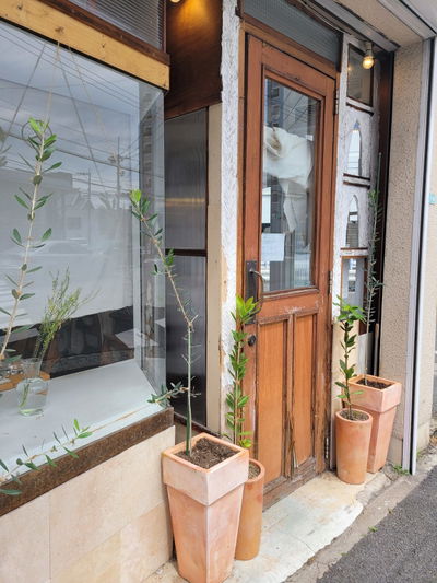 Abeki