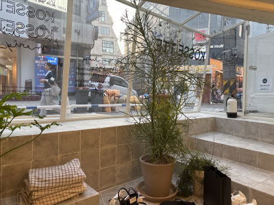 Colette Dosan Branch