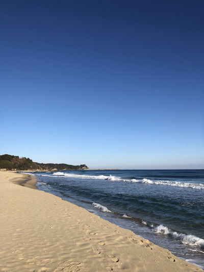 동호해변