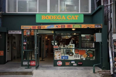 Bodega Cat