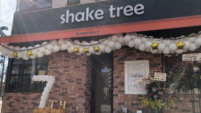 Shake Tree
