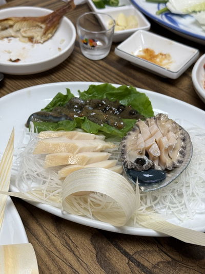 새반도정
