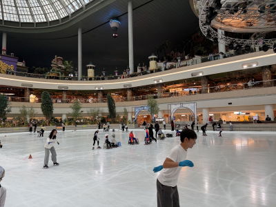 Lotte World Ice Rink