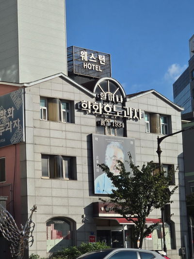 Hakhwa Hodu-gwaja (Walnut Cake) Cheonan Terminal