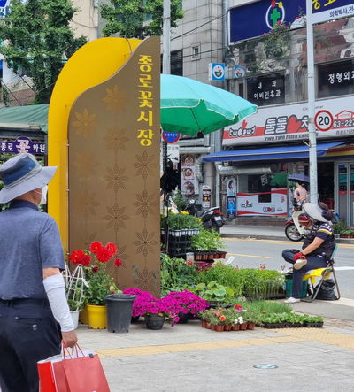 Jongno Flower Market