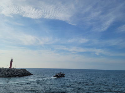 Jeju Yacht Tour