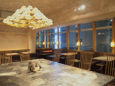 Tsubaki Salon Ginza