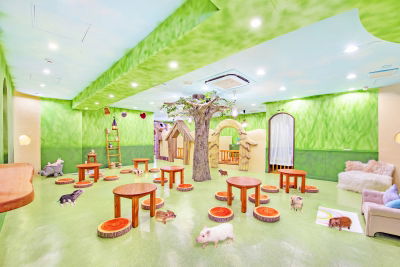 mipig cafe Harajuku