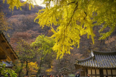 Ungok Seowon