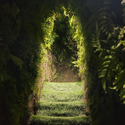 Sumsei Terrarium